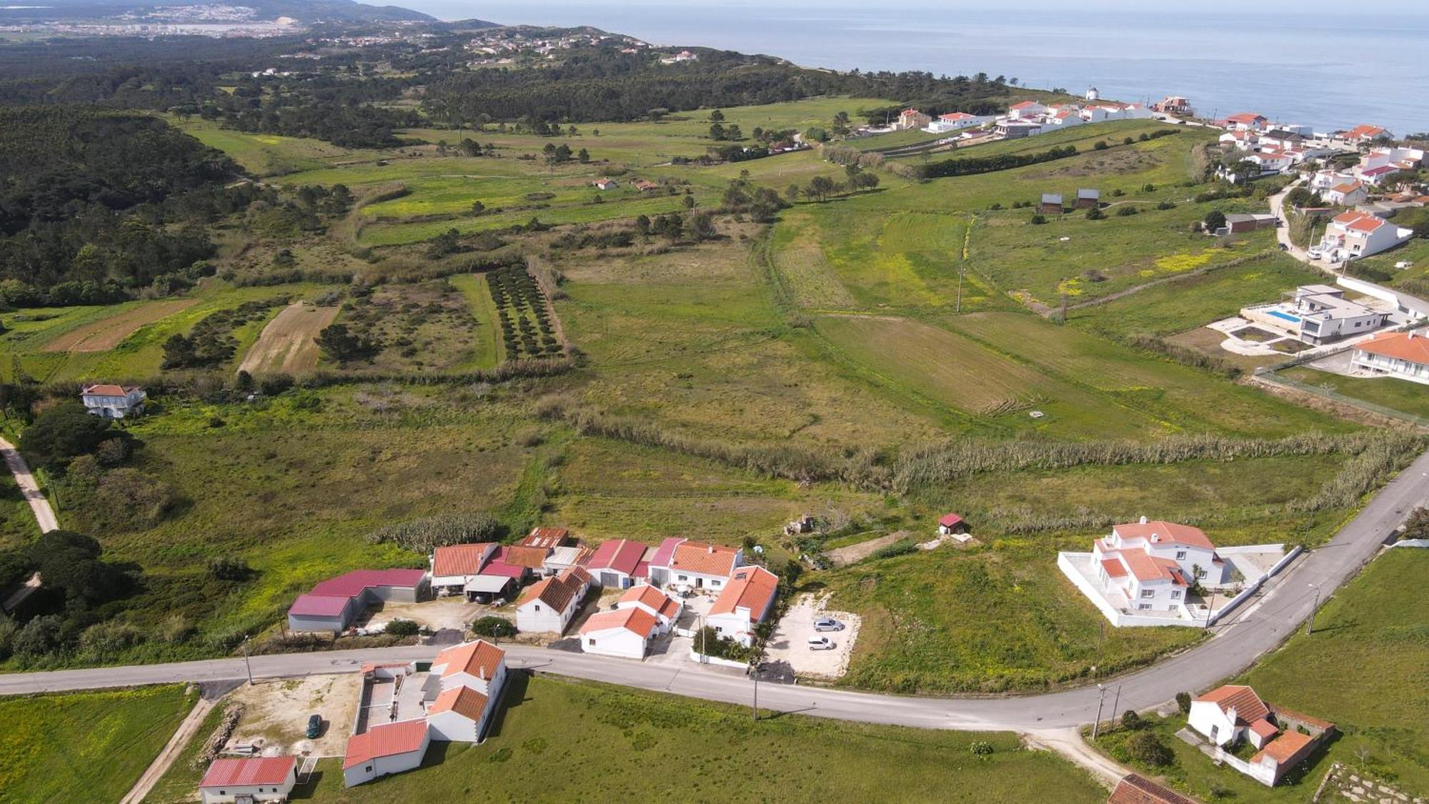 Casas Com Amoras In Serra Da Pescaria Famalicao Екстер'єр фото