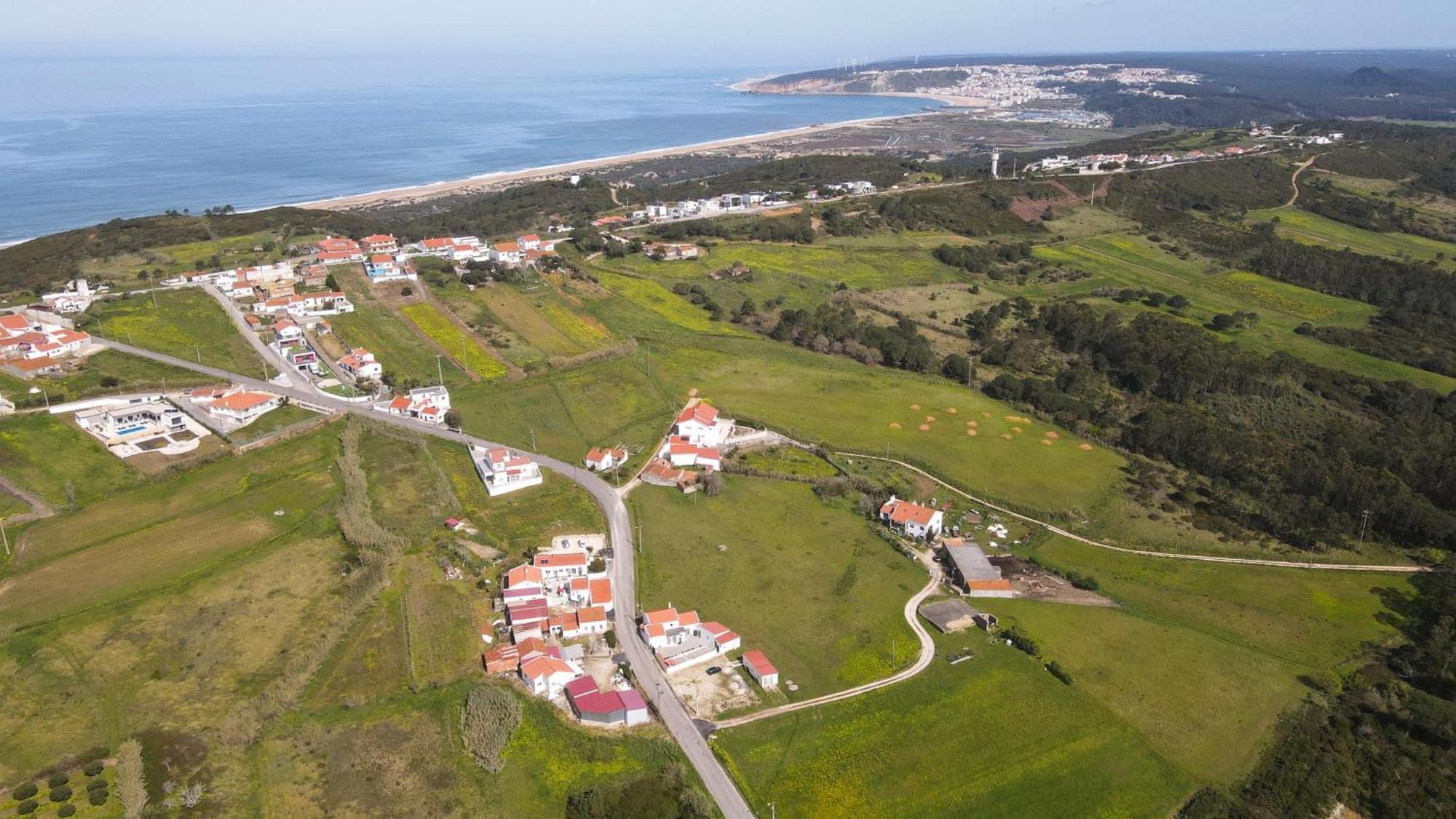 Casas Com Amoras In Serra Da Pescaria Famalicao Екстер'єр фото